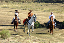 Mexico-Sierra Occidental-La Sierra Classic Cavalcade